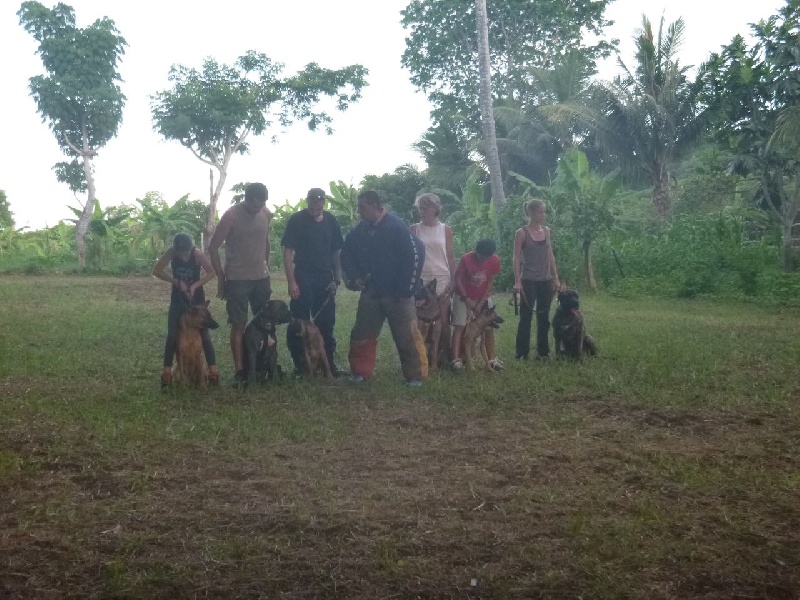 Le club canin a Hajangoua